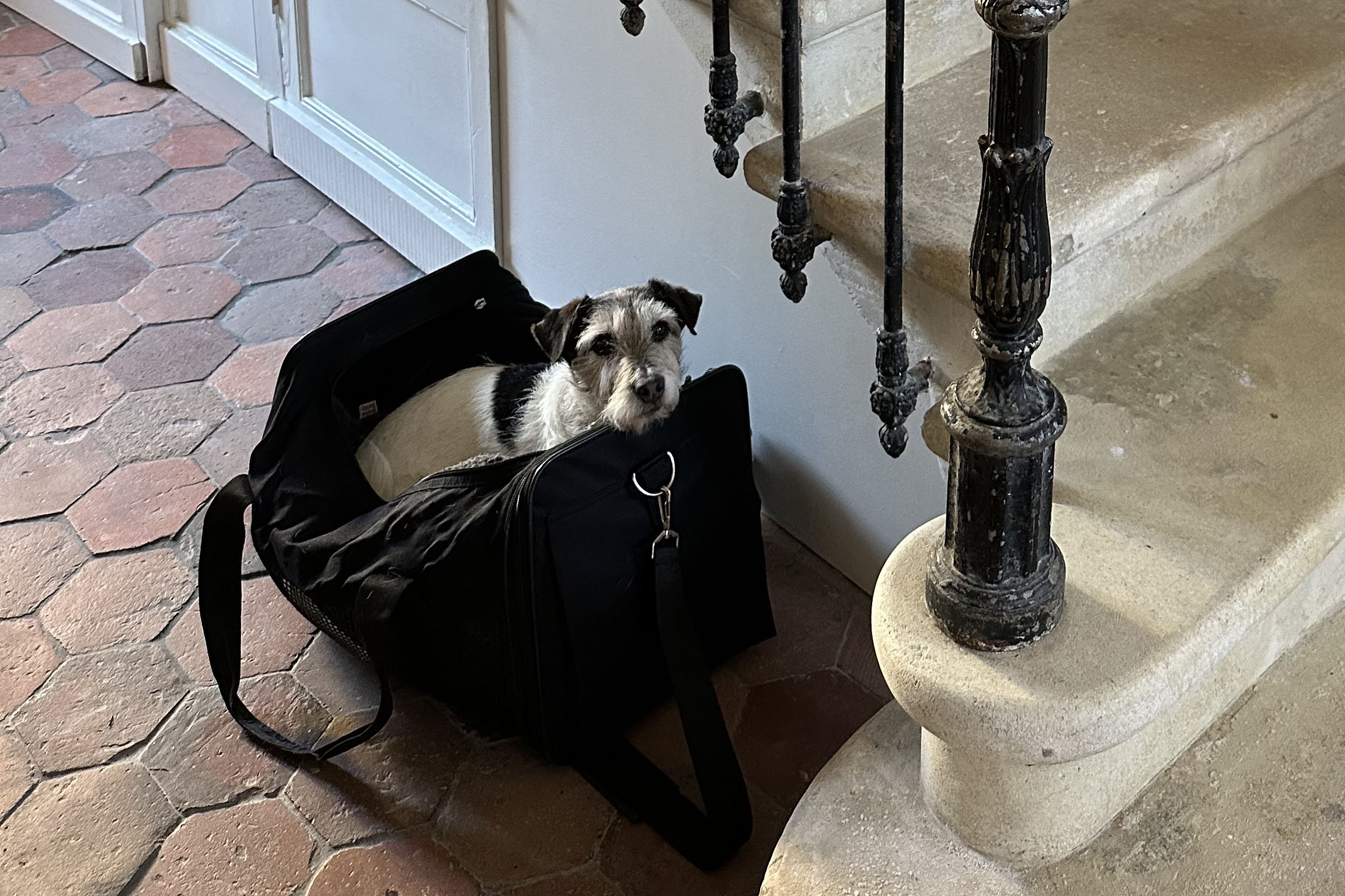 Pet Travel Carriers